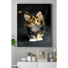 HBMB Store (PSTER16470) Kedi Hayvan Kanvas Tablo 2 40 x 60