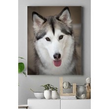 HBMB Store (PSTER16250) Hayvan Kanvas Tablo 30 x 40