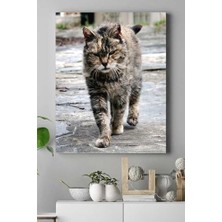 HBMB Store (PSTER16477) Kedi Hayvan Kanvas Tablo 3 21 x 30