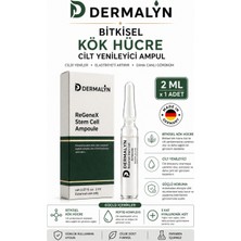 1 Adet Bitkisel Kök Hücre Cilt Yenileyici Mimik Kırışıklık Yaşlanma Karşıtı Ampul Serum Dermaroller
