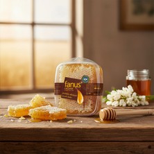 Fanus Organik Petekli Çiçek Balı 430GR