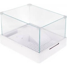 Novis Liora Filtreli Lambalı Cam Kaplumbağa Bahçesi 40X29X25 cm