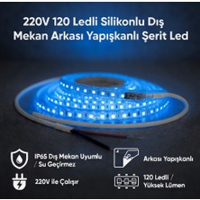 AC Aydınlatma 220V 120 LED Dış Mekan Şerit LED Mavi Işık Arkası Yapışkanlı Suya Dayanıklı Dekoratif Aydınlatma