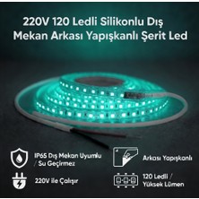 AC Aydınlatma 220V 120 LED Dış Mekan Şerit LED Turkuaz Işık Arkası Yapışkanlı Suya Dayanıklı Dekoratif Aydınlatma