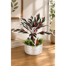 Yapay Çiçek Sitesi Gümüş Beton Saksıda Yapay Bitki Tanzimi 48 cm Model 9