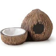 Filizora Digital Market Ex Coconut Sürüngen Saklanma Alanı ve Su Kabı