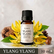 E.M.S YLANG YLANG Esansiyel Uçucu Yağ Buhurdanlık Yağı Difüzör Esansı Oda Kokusu Esansı MUM ESANSI 10 ML.