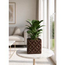 Triora Design Triora Kapitone Model: Modern Ev Dekorasyon Saksı 15,5cm Yükseklik x 17CM Genişlik 3D Tasarım Pla