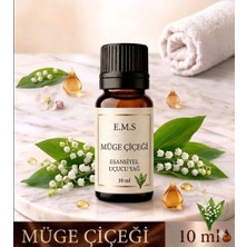 E.M.S MÜGE ÇİÇEĞİ Esansiyel Uçucu Yağ Buhurdanlık Yağı Difüzör Esansı Oda Kokusu Esansı MUM ESANSI 10 ML.