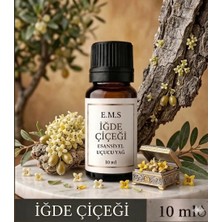 İğde Uçucu Yağı ESANSİYEL Buhurdanlık Yağı İğde YAĞI Esansı İğde Ağacı YAĞI Difüzör Esansı  Yağı 10 ml