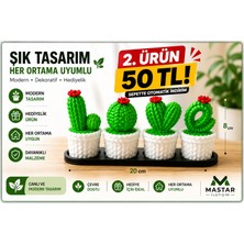 Modern 4’lü Kaktüs Dekor Seti – Masaüstü & Ev Ofis Süsü (Siyah-Beyaz)