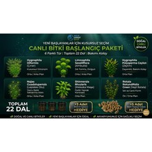 Aqua Expert Canlı Akvaryum Bitkisi - Başlangıç Paketi - 6 Tür - 22 Dal - 3 Adet Saksı ve 5 Adet Akıllı Gübre Hediyeli