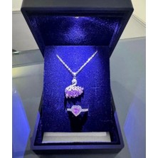 Küçük Işıklı Kutuda Kuğu Set