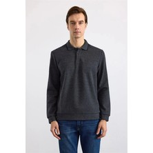 Süvari Antrasit Regular Düz Polo Yaka Sweatshirt