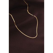 Tgzm Çelik Gold Renk 60 cm Ince Italyan Zincir Kolye 5886 - TG0012-2QE8T7