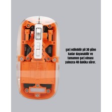 OEM Hafif ve Taşınabilir Fare – 43 Gram Otomatik Uyku Modlu - 7268-9881