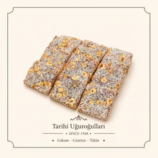 Tarihi Uğuroğulları Fındıklı Cezerye