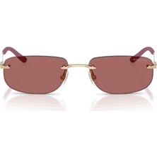 Arnette 3096 748/69 55 Erkek Güneş Gözlüğü