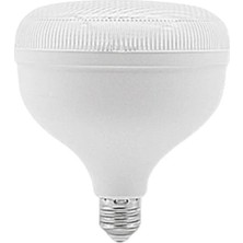 Meridyen Elektrik Cata CT-4155 LED Ampul (4 adet)