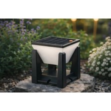 Cata CT-7313 Solar Bahçe Armatürü
