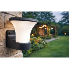Cata CT-7035 Modern LED Aplik