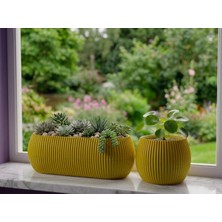 Ta-Fu Global Set 0,35 Lt Yuvarlak Saksısı + 1,3 Lt Balkon Saksısı (Yuvarlak:9cm x 9cm Çap Yük , BALKON:25CM x 8,5cm x 10CM En Boy Yük )