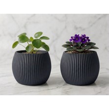 Ta-Fu Global 2 ADET 0,35 Lt Yuvarlak Plastik Saksı (9cm Çap Ağız Kısmı x 9cm Yükseklik)