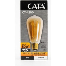 Cata 10 Adet Rustik LED Ampul ST64/