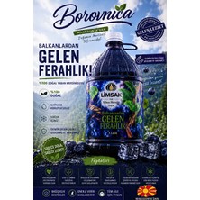 Limsak' Tan Borovnika Yaban Mersini Suyu – %100 Doğal Içerik & Eşsiz Lezzet 5 Lt