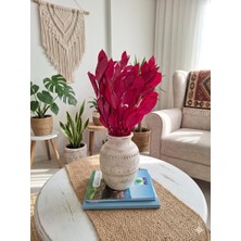 Birlik Ruskus Demeti  Şoklanmış  40-45 cm  5 Dal