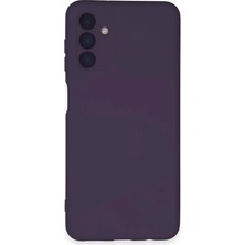 Newface Samsung Galaxy A24 4g Kılıf Nano Içi Kadife Silikon - Mor