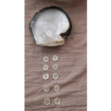 ILCARE Doğal Trokas Hakiki Inci Midye Kabugu Düğme 14 mm 10 Adet