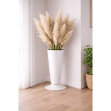 Poliva Home Serinova V005 Kesme Çiçek ve Bitki Vazosu No:5 - 5.7 Litre