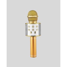 Svoria Store Karaoke Mikrofonu Bluetooth USB Aux Girişli Yankı Efektli