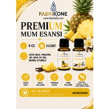 Fabrikone Premium Mum Esansı 5 cc 2'li Set - Ananas, Vanilya - Soya Wax, Parafin, Jel Wax ve Bal Mumu Uyumlu BKFAB2ANVN5