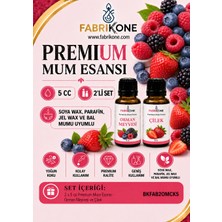 Fabrikone Premium Mum Esansı 5 cc 2'li Set - Orman Meyvesi, Çilek - Soya Wax, Parafin, Jel Wax ve Bal Mumu Uyumlu BKFAB2OMCK5