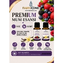 Fabrikone Premium Mum Esansı 5 cc 2'li Set - Orman Meyvesi, Vanilya - Soya Wax, Parafin, Jel Wax ve Bal Mumu Uyumlu BKFAB2OMVN5