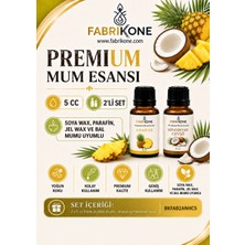 Fabrikone Premium Mum Esansı 5 cc 2'li Set - Ananas, Hindistan Cevizi - Soya Wax, Parafin, Jel Wax ve Bal Mumu Uyumlu BKFAB2ANHC5