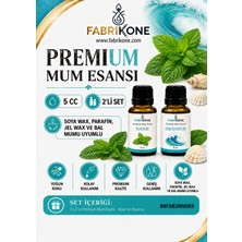 Fabrikone Premium Mum Esansı 5 cc 2'li Set - Nane, Okyanus - Soya Wax, Parafin, Jel Wax ve Bal Mumu Uyumlu BKFAB2NNOK5