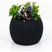 Nemere Mercan Saksı 2 Numara 0,35 Litre Su Hazneli Dekoratif Kaktüs Sukulent Saksı 11,8x9,2 cm