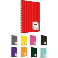 Çınar Colormaxi 100 Yaprak Çizgili A4 Defter Pp Kapak Spiralli - 3 Adet