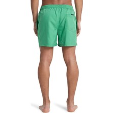 Quiksilver Deluxe 15 Yeşil Erkek Şort Mayo