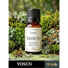 E.M.S YOSUN Esansiyel Uçucu Yağ Buhurdanlık Yağı Difüzör Esansı Oda Kokusu Esansı MUM ESANSI 10 ML