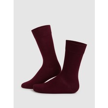 Cacharel Erkek Bordo Çorap 50316177-900