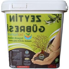 Zeytin Için, Organik Gübre, Organik Sertifikalı, Kök Geliştirici, Toprak Düzenleyici, Bitki Besleyici, 5 Litre (1)