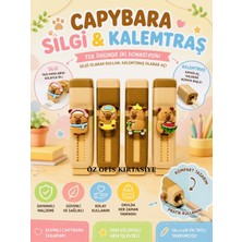 ÖZ OFİS Capybara Kapibara Temalı Kalemtraşlı Silgi - Yumuşak & Iz Bırakmayan Silgi - Kaliteli Hazneli Kalemtıraş - Tekli