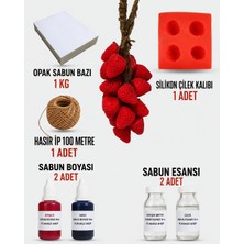 Plaka53 Shop Salkım Çilek Sabun Yapım Seti