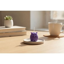 Mini Baykuş 3'lü Set