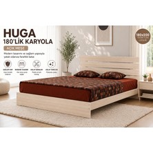 Pasific Home Huga Çift Kişilik Karyola, Meşe, 180X200