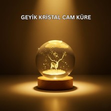 USB Bağlantılı Geyik Temalı Kristal Küre Premium Masa Gece Lambası - HS4745-9290